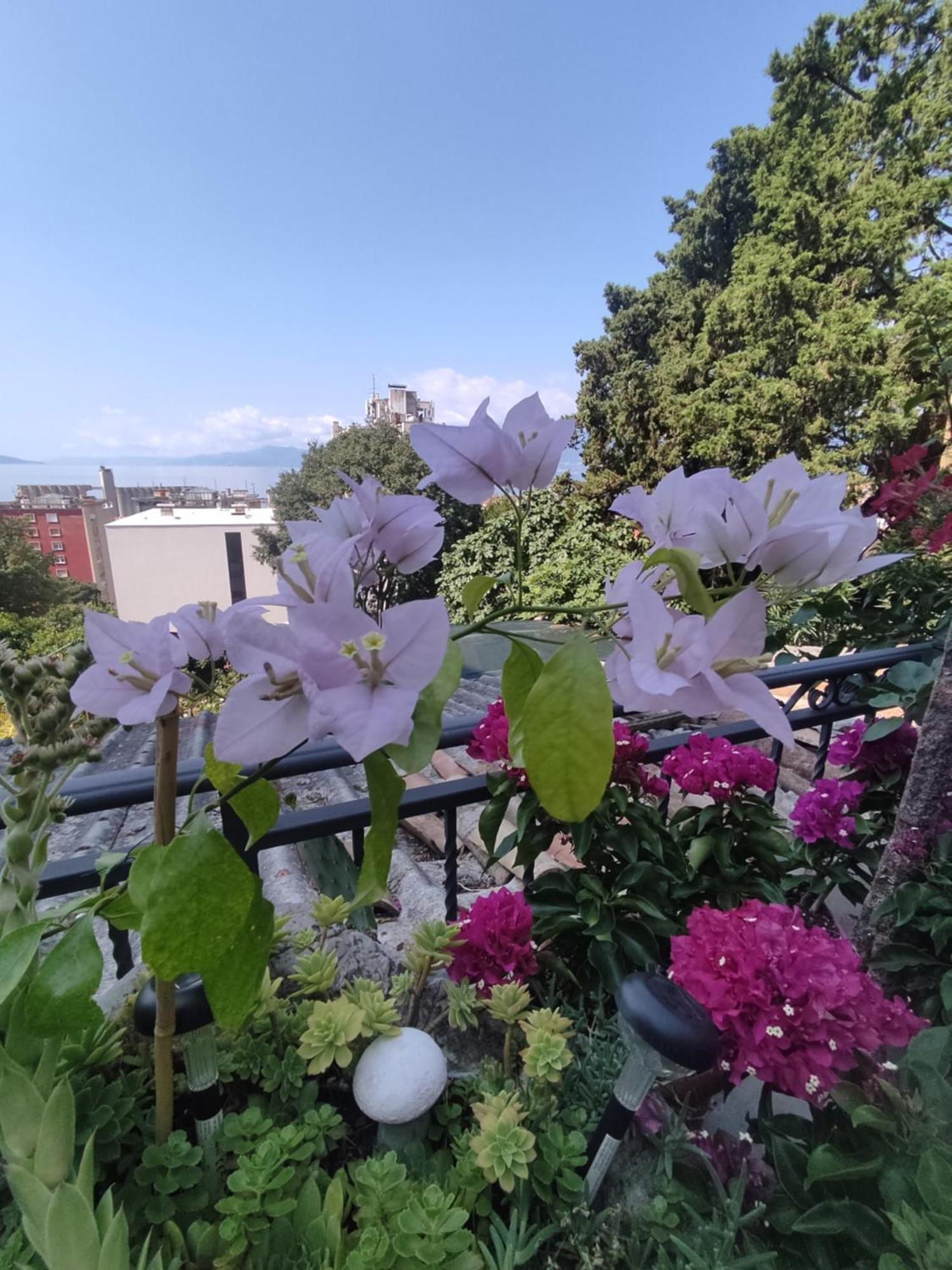 Apartamento Apartman Bella Vista Rijeka Exterior foto